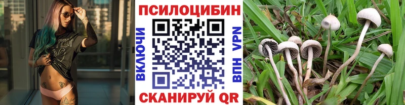 Псилоцибиновые грибы Cubensis Купить где Удачный