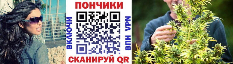 Каннабис VHQ  Купить где  Удачный 